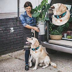 Вощеный хлопковый шнур и драгоценные камни SJEW-DR00001