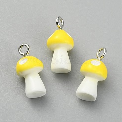 Подвески из непрозрачной смолы&nbsp;LS-RESI-CJC0012-16D