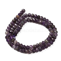 Природный аметист нитей бисера G-G278-A02-4x6mm