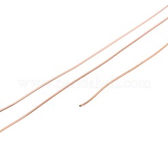 10 m de fil en acier inoxydable 304&nbsp;TWIR-N005-0.3mm-RG