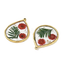 Ионное покрытие (ip) подвески из нержавеющей стали 304&nbsp;STAS-D193-11G-01