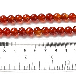 Природного сердолика нитей бисера X-G-G390-8mm-03