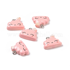 Подвески из непрозрачной смолы&nbsp;RESI-J023-14D