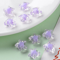 Прозрачные акриловые бусины&nbsp;TACR-S152-02A-SS2114