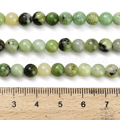 Природные серпантину нитей бисера G-Z110-C04-6mm