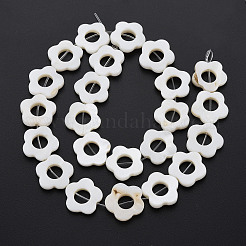Perlas de concha de agua dulce marcos hebras&nbsp;LS-SHEL-T009-14A