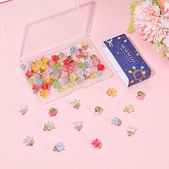 72шт 9 цвета акриловые подвески&nbsp;OACR-SC0002-38B