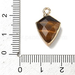 Pendentifs en œil de tigre naturel&nbsp;G-K422-01G-08