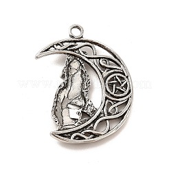 Сплавочные подвески тибетского стиля&nbsp;PALLOY-B008-03AS