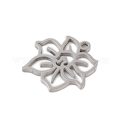 Colgantes de acero inoxidable 304 que no se deslustran&nbsp;STAS-S139-06P-10