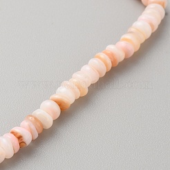 Shell perle naturali fili&nbsp;BSHE-WH0002-03D