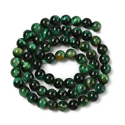 Нити из натуральных бусин тигрового глаза высшего качества&nbsp;X-G-B133-A02-6MM-02