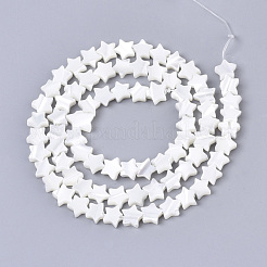 Натуральная оболочка трохида&nbsp;X-SSHEL-N034-68A