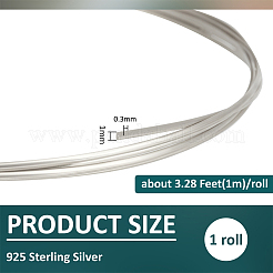 1 m 925 de alambre de plata esterlina&nbsp;STER-BC0004-53B