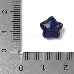 Natürliche Lapislazuli-Perlen&nbsp;G-T149-01F