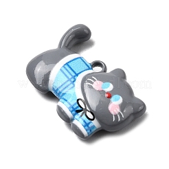 Подвески из цинкового сплава с краской для выпечки FIND-I070-01B