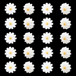 20шт натуральные пресноводные бусины из ракушек PEAR-NB0001-14