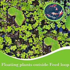 1 комплект колец для кормления рыб из вспененного eva&nbsp;AJEW-CN0002-51B