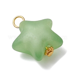 オペークアクリルパーツ  真鍮のパーツと  スター  ミックスカラー  22~23x19~20x11~12mm  穴：3~4mm&nbsp;PALLOY-JF03993