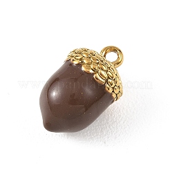 304 Edelstahl-Emaille-Anhänger&nbsp;STAS-G395-03G