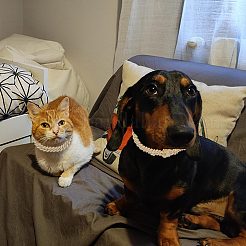 Теннисное колье с кристаллами и стразами&nbsp;NJEW-WH0009-13