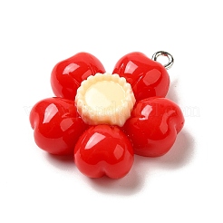 Подвески из смолы&nbsp;LS-RESI-A038-03P-01