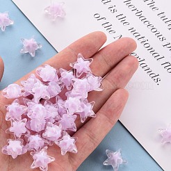 Прозрачные акриловые бусины&nbsp;TACR-S152-11A-09