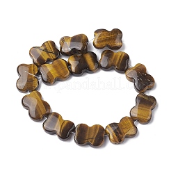 Fili di perline di occhio di tigre naturale&nbsp;G-K359-D07-01