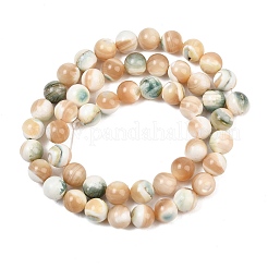 Chapelets de perles de coquillage naturel&nbsp;SH-CBA4F3D-01