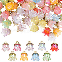 72шт 9 цвета акриловые подвески&nbsp;OACR-SC0002-38B