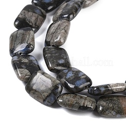 Бусины из натурального глаукофана G-C141-C01-03