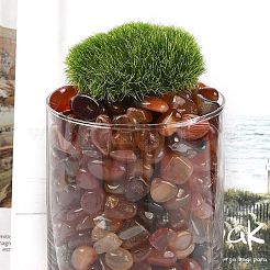 Окрашенные и нагретые натуральные бусины из агата&nbsp;G-J402-03A-01