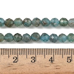 Природного апатита нитей бисера G-RM250101-D1-A