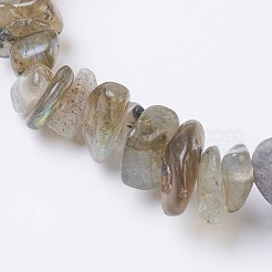 Естественно лабрадорита браслеты простирания BJEW-JB03681-07