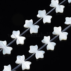 Fili di perline di conchiglia bianca naturale, bowknot, 10x16~17x2mm, Foro: 0.5 mm, circa 20pcs/filo, 11.73 pollice (29.8 cm)