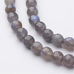 Chapelets de perles en labradorite naturelle, facetté (128 facettes), ronde, 6mm, Trou: 0.5mm, Environ 62 pcs/chapelet, 15.1 pouce (385 mm)