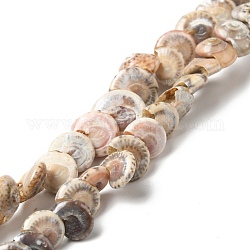 Chapelets de perles en coquille de spirale naturelle, peachpuff, 5.5~7x5~7x2.5~7.5mm, Trou: 0.9mm, Environ 96 pcs/chapelet, 14.88 pouce (37.8 cm)