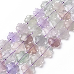 Fleurs naturelles perles arc-en fluorite de brins, 15x5.5mm, Trou: 1mm, Environ 27 pcs/chapelet, 16.53 pouce