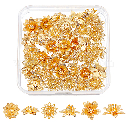 SuperZubehör 36 Stück 3 Messing-Perlenkappen mit 3D-Blumen, golden, 14~16x5~8 mm, Bohrung: 1 mm, 12pcs / style