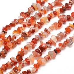 Brins de perles d'agate rouge du sud naturelle, 5~8x5~8mm, Trou: 1mm, environ 31.5 pouce