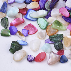 Perles de coquillages naturels d'eau douce, pas de trous / non percés, puces, teinte, tessons shell, couleur mixte, 3~12x1~6x0.5~5mm