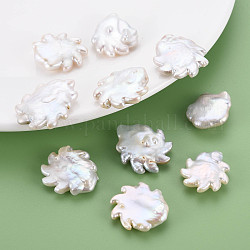 Perles de perles keshi naturelles, perle de culture d'eau douce, pas de trous / non percés, roue chaude, couleur de coquillage, 23~31x20~24x5~8mm