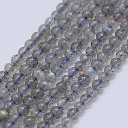 Natural Labradorite Beads Strands, Round, 3mm, Hole: 0.7mm, about 133pcs/strand, 15.75 inch(40cm)