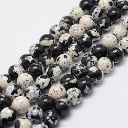 Chapelets de perles en jade blanc d'océan naturel, teinte, ronde, noir, 4mm, Trou: 1mm, Environ 95~96 pcs/chapelet, 15.75 pouce (40 cm)