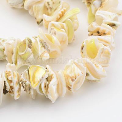 Chapelets de perles en coquillage naturel&nbsp;BSHE-P010-02-1