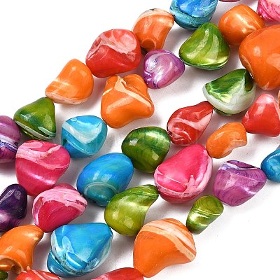 Нити бусин из натуральных трохоидных/трохус ракушек SHEL-B005-06-1