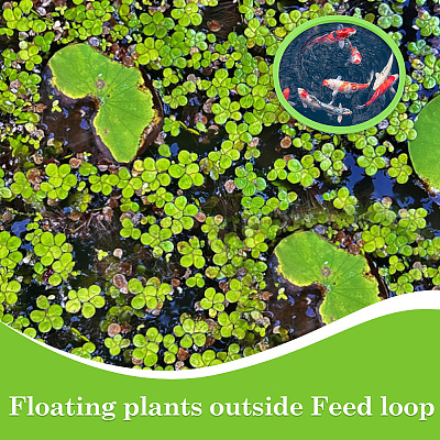 1 комплект колец для кормления рыб из вспененного eva AJEW-CN0002-51B-1
