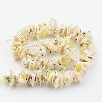 Chapelets de perles en coquillage naturel&nbsp;BSHE-P010-02-1
