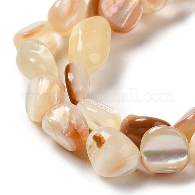 Natural Sea Shell Beads Strands, Nuggets, 8~14.5x4~10x4~10mm, Hole: 0.9mm,  about 38~41pcs/strand, 14.69''~15.16''(37.3~38.5cm)