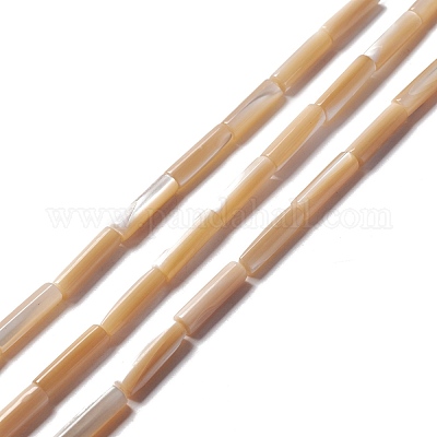 Бусины из натуральных трохоидных/трохус ракушек&nbsp;SSHEL-O001-26A-1